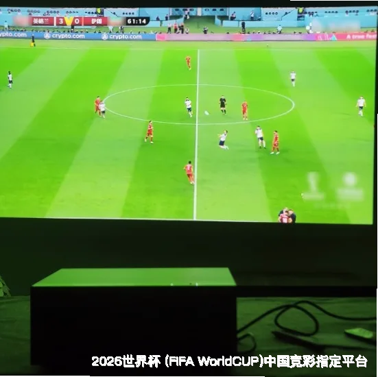 简单四步上手